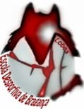 Primeiro emblema do clube — Escola Desportiva de Bragança Lobos (2008)